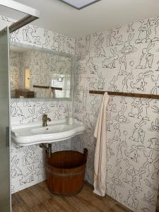 a bathroom with a sink and a mirror at Chalupa Bob a Bobek in Horní Bečva