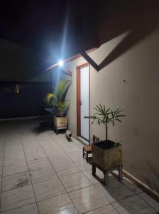 オランブラにあるQUARTO CONFORTAVEL COM GARAGEMの鉢植えの植物が2本あり、灯りが付いている部屋