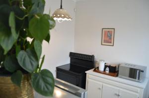 Η κουζίνα ή μικρή κουζίνα στο Cottage on Diamond Street +31 φωτογραφίες