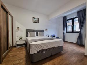 um quarto com uma cama grande e uma janela em Adriatic Apartments em Budva