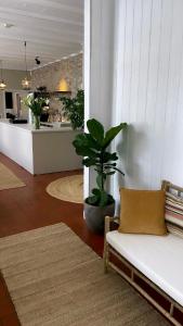 een woonkamer met een bank en een potplant bij Gilbjerg Strandhotel in Gilleleje