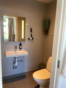 a bathroom with a sink and a toilet at Gilbjerg Strandhotel in Gilleleje