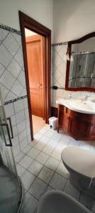 uma casa de banho com um lavatório, um chuveiro e um espelho. em Le rondinelle em Castelnuovo Parano