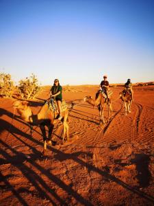 Chegaga Luxury Camp في El Gouera: مجموعة من الناس يركبون الجمال في الصحراء