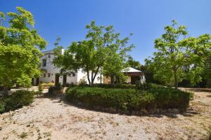 Zahrada ubytování Masseria Pitanni