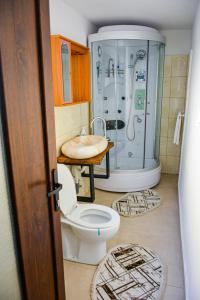 uma casa de banho com um WC e um chuveiro em Căsuța Adelina em Borşa