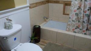 a bathroom with a toilet and a bath tub at Private hideaway at The Phoenix guest suite in Moss Town