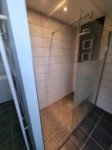 W łazience znajduje się prysznic ze szklanymi drzwiami. w obiekcie Le gîte de Cléo, maison spacieuse et paisible. w mieście Metzeral