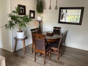 a dining room table with chairs and a potted plant at Departamento amoblado en Constitución in Constitución +2 photos