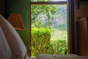 a bedroom with a window with a view of a tree at Pousada Canto Verde in Tiradentes