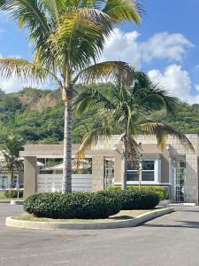 two palm trees in front of a house at Seashore Vacation Home, Oceanpointe, Lucea, Jamaica in Point