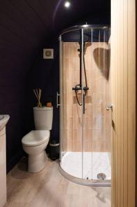La salle de bains est pourvue d'une douche et de toilettes. dans l'établissement Glen Getaway - (Luxury Pod), à Stranraer