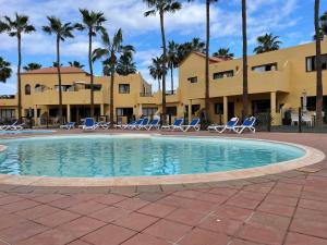 una piscina en el complejo con sillas y palmeras en Oasis Royal, en Corralejo