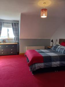 1 dormitorio con 1 cama y alfombra roja en Kelmin House, en Letterkenny