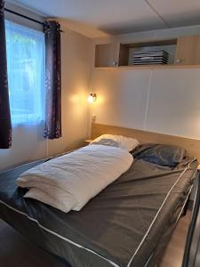 a large bed in a room with a window at GH Vacances La Réserve in Gastes