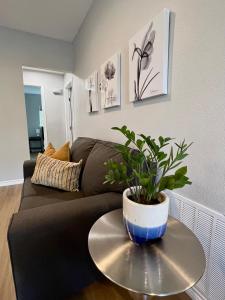 a living room with a couch and a plant on a table at Modern 2 bedroom house w/backyard @La Cantera in San Antonio