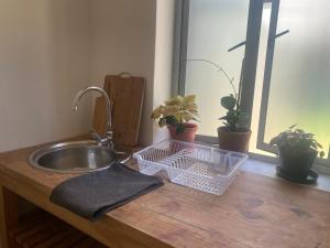 a kitchen counter with a sink and potted plants at Sunset Studio in Cape Town