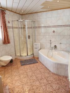 La salle de bains est pourvue d'une baignoire, d'une douche et de toilettes. dans l'établissement Pension Wötzinghof, à Kirchberg in Tirol