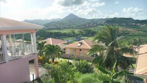 einen Blick vom Balkon eines Hauses mit einer Palme in der Unterkunft Lotissement sigy à 5 minutes de la plage de la Pointe Faula. in Le Vauclin