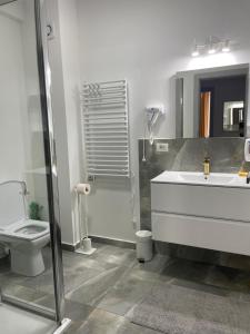 a bathroom with a sink and a toilet and a shower at Apartament regim hotelier Băile Felix in Baile Felix +13 photos
