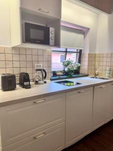 uma cozinha com um lavatório e uma bancada em IRIS Le Dome Apartment em Timisoara