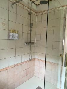 La salle de bains est pourvue d'une douche et de carrelage rose. dans l'établissement IRIS Le Dome Apartment, à Timişoara