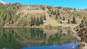 ein Haus auf einem Hügel neben einem See in der Unterkunft Almhütte am Wirpitschsee in Weisspriach + 8 Fotos