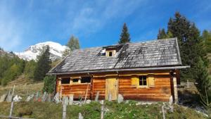 a log cabin with a mountain in the background at Almhütte am Wirpitschsee in Weisspriach