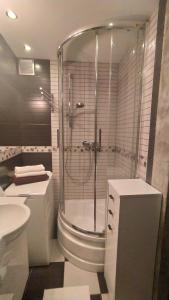 a bathroom with a shower and a toilet and a sink at APARTAMENT SŁUPSK in Słupsk