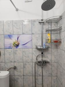 a bathroom with a shower with a flower painted on the wall at Best apartment- airport in Sofia
