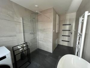 La salle de bains est pourvue d'une douche et d'un lavabo. dans l'établissement Apartmán u zámecké zahrady, à Klášterec nad Ohří