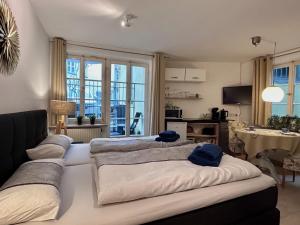 a living room with a couch and a table at Ferienapartment Eva - gemütlich und zentral auf der historischen Insel Lindau in Lindau