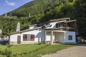 a white house with a mountain in the background at Casuta Didi in Brezoi