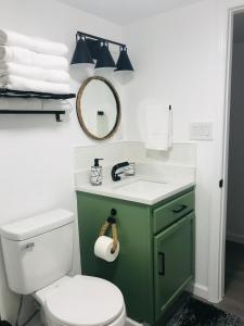 a bathroom with a green sink and a toilet at 10515 Houston Avenue in Hudson