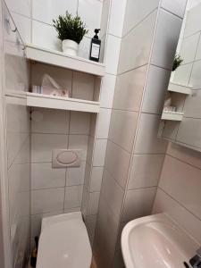 małą łazienkę z toaletą i umywalką w obiekcie Apartment Blick ins Grüne w mieście Bamberg