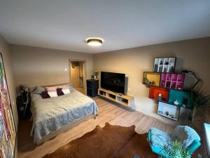 a bedroom with a bed and a flat screen tv at Business and getaway in Jelgava