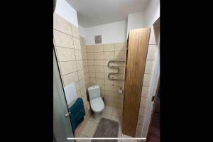 a bathroom with a toilet and a wooden door at Business and getaway in Jelgava