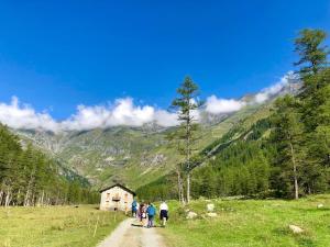 a group of people walking down a dirt road in a field at Maison Moioli - Appartamento 3 in Piamprato +7 photos