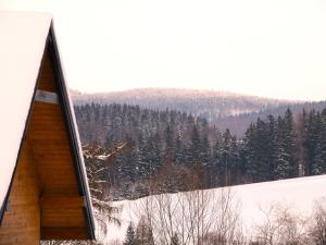 Domki w Bartnicy - Góry Sowie during the winter