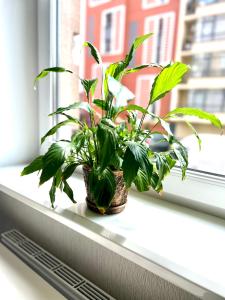 Fotografia z galérie ubytovania OSapart Beautiful apartment in a complex Semycvit v Ľvove