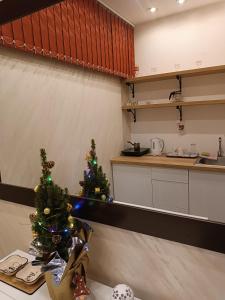 O bucătărie sau chicinetă la M Central Park