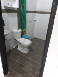 a bathroom with a toilet and a green shower curtain at el paraiso de juanjo in San Carlos
