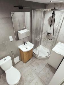 a bathroom with a toilet and a sink and a shower at Apartament Malbork Centrum blisko zamku in Malbork