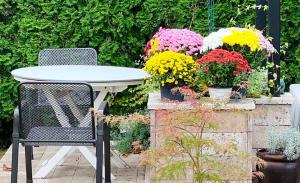 una mesa y sillas en un jardín con flores en Blaje, en Breaza de Jos