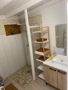 ein Bad mit einer Dusche und einem Waschbecken in der Unterkunft LA ROSE DE CHAMP FLEURY in Labuthie