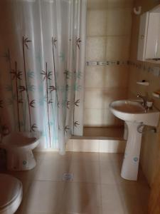 a bathroom with a sink and a toilet and a shower curtain at La Inesita in Tafí del Valle