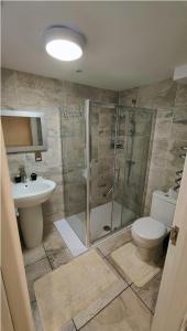 a bathroom with a shower and a toilet and a sink at flat 2 Wimbledon in London