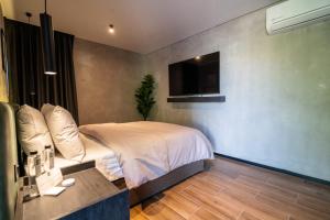 1 dormitorio con 1 cama y TV en la pared en ALCALÀ EXPO en Guadalajara