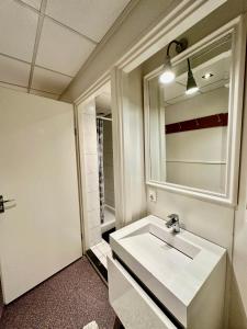 ein Badezimmer mit einem weißen Waschbecken und einem Spiegel in der Unterkunft Guesthouse Villa de Eikhof in Hengelo
