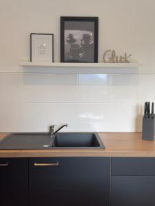 a kitchen counter with a sink and a shelf at Belm Ferienwohnung am Bach in Belm +48 photos